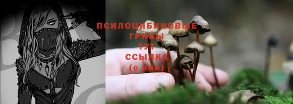 прущие крисы Кулебаки