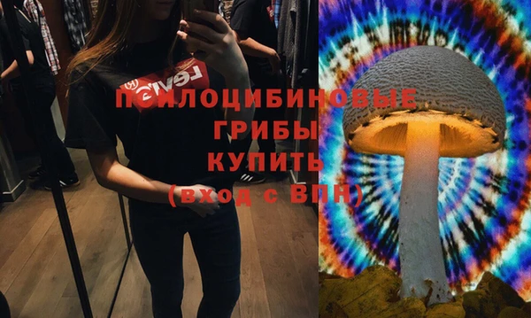 хмурый Лагань