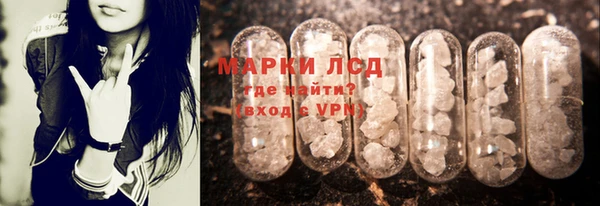 хмурый Лагань